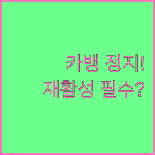 카카오뱅크 체크카드 일시정지 시 거래..