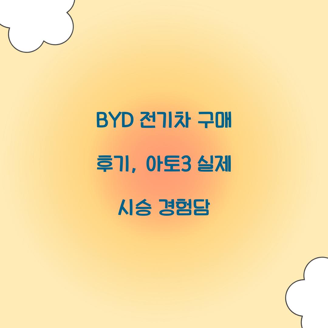 BYD 전기차 구매 후기