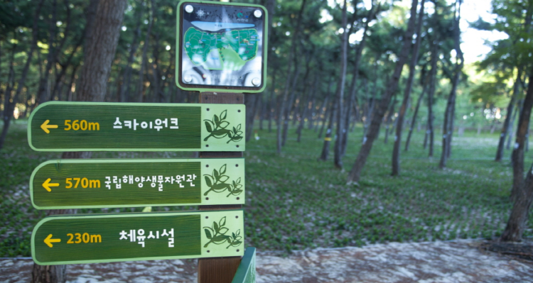 장항송림산림욕장 장항스카이워크