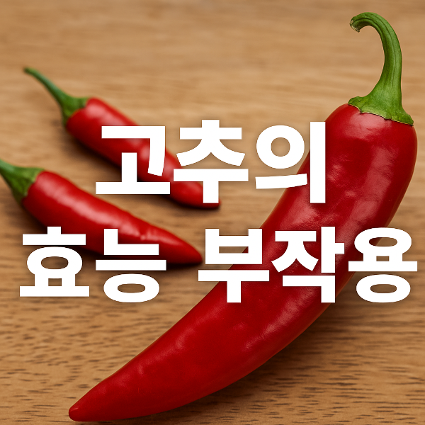 고추의 효능과 부작용 청양고추와 풋고추 정리