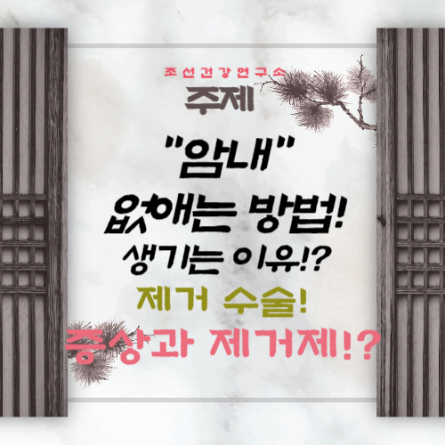 암내 없애는 방법 암내 제거 수술 겨드랑이 암내 원인 증상 어떤냄새