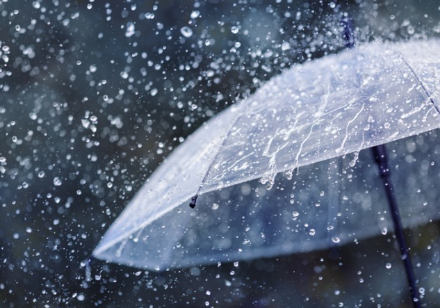 2025년 장마 예상 기간 언제부터 언제까지?