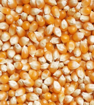 변비에 좋은 음식 해결방법 운동