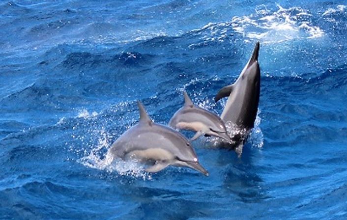 괌액티비티추천