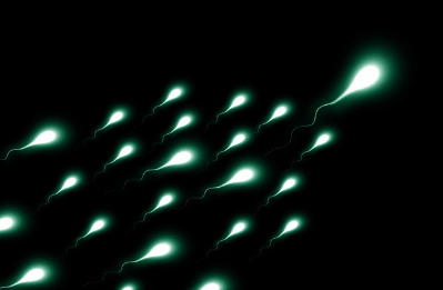 냉동난자 사용 보조생식술 지원금