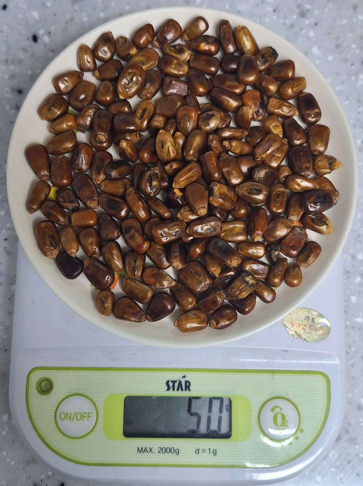 노브랜드-알곡-통옥수수-품질