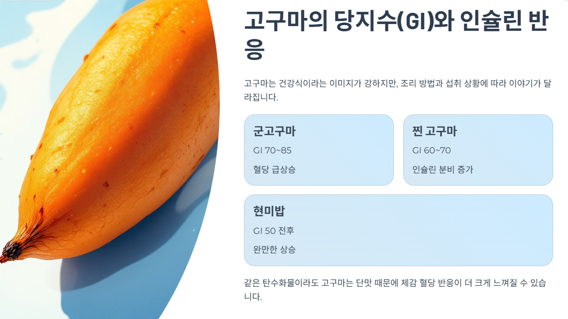 고구마의 당지수(GI)와 인슐린 반응