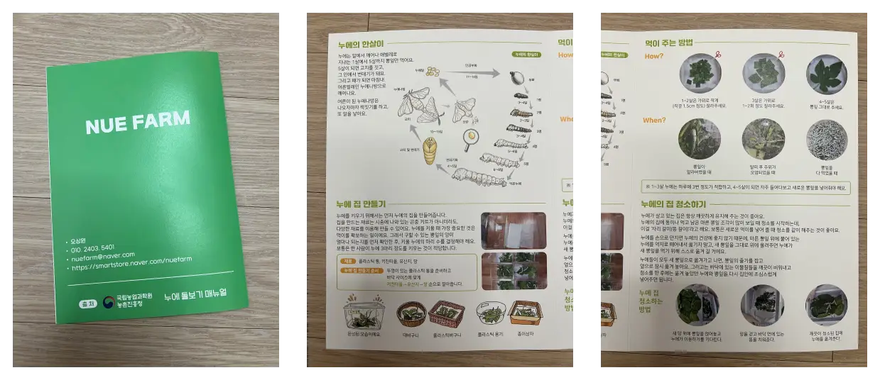 누에 먹이 주기 &amp; 사육법 설명서