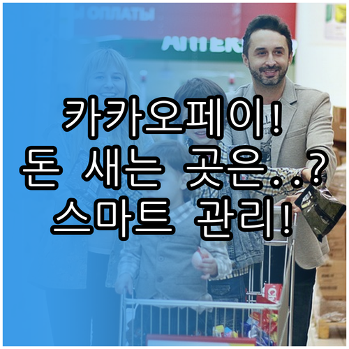 스마트한 금융 생활 카카오페이 사용 ..