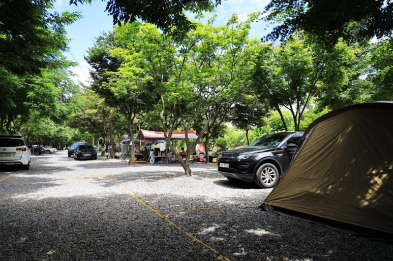 가평 '맑은물소리캠핑장' 미리보기