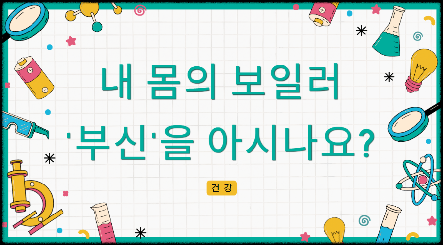 내 몸의 보일러 부신을 아시나요?