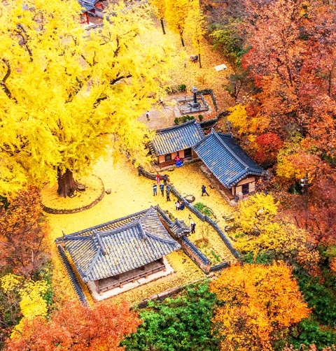 불국사