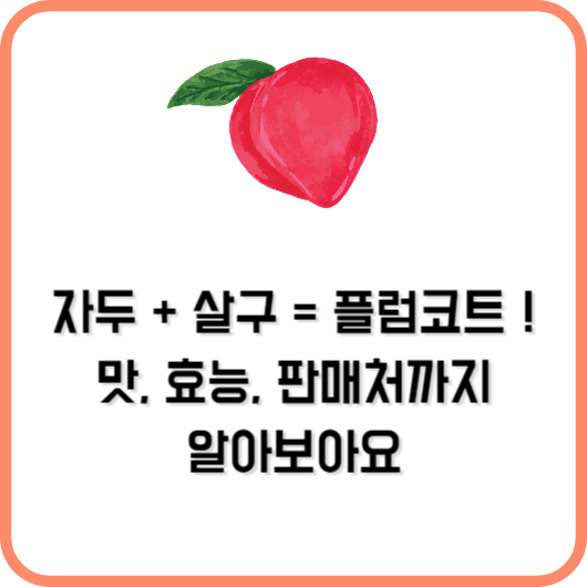 플럼코트 맛, 효능, 판매처