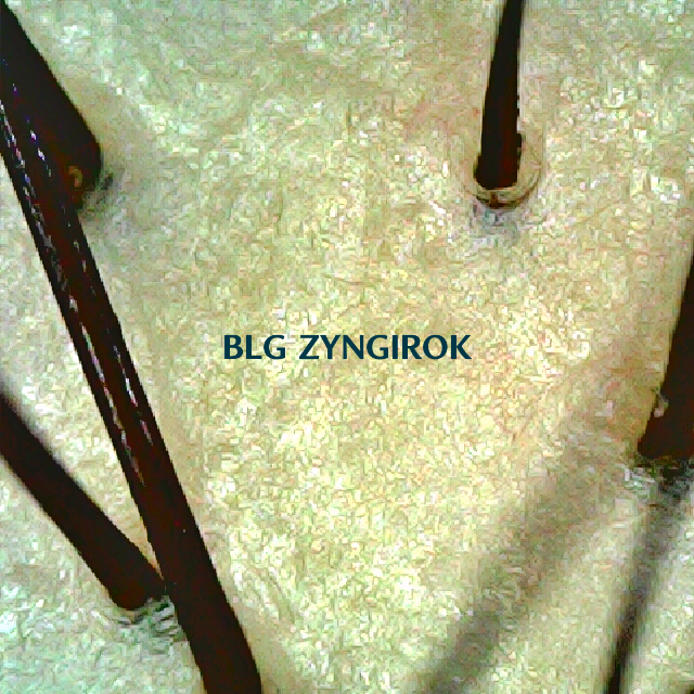 피나모아 복용 1주차 정수리 두피사진이다. 모낭 하나당 한 개의 모발이 위치해 있다.