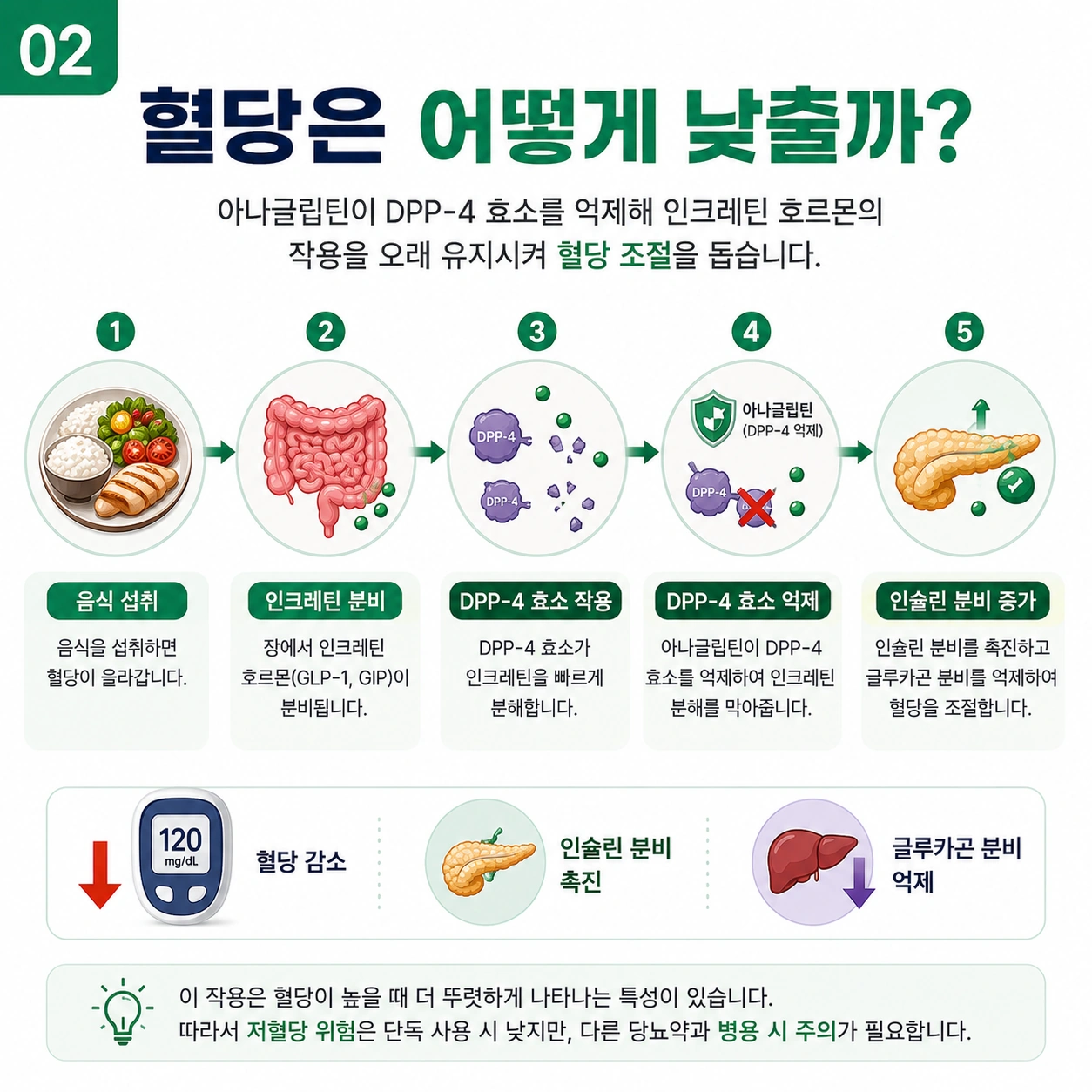 가드렛정100mg-아나글립틴-혈당을-낮추는-작용기전
