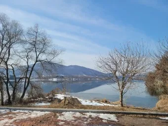 양평 가볼만한곳 베스트10 두물머리 연잎핫도그_21