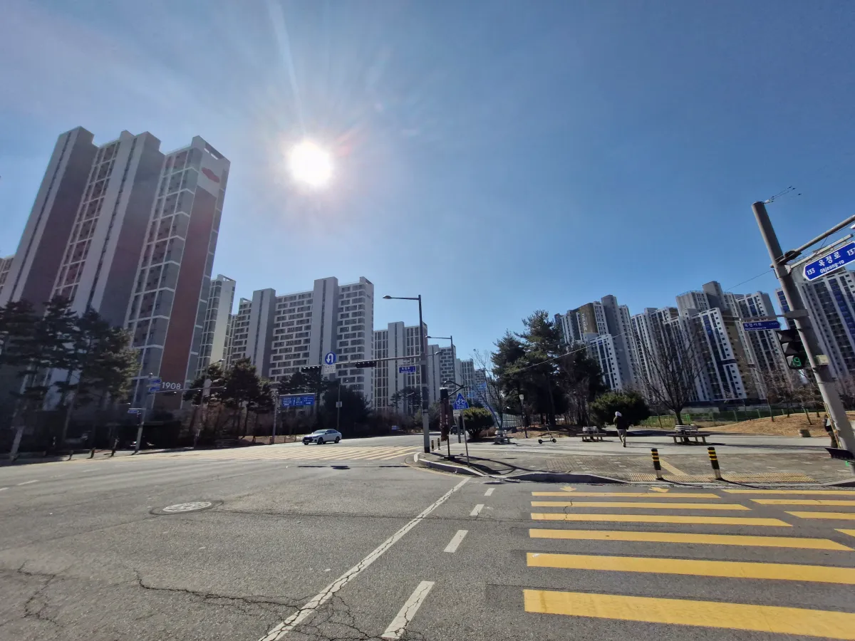 밝은-태양아래-횡단보도를-건너는-모습