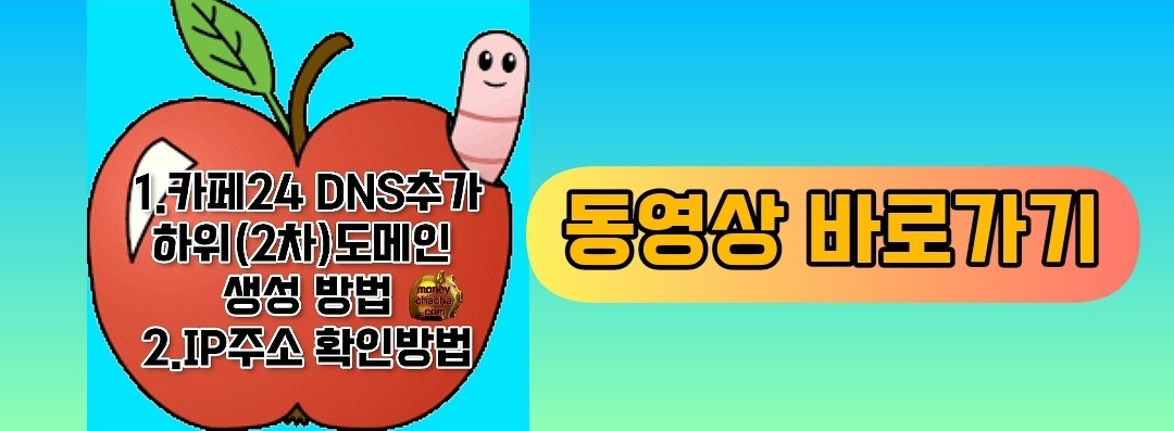 카페24-워드프레스-애드센스 승인 후-하위(2차)도메인 추가 생성 방법과 IP주소 찾기-하위(2차)도메인 정보-동영상