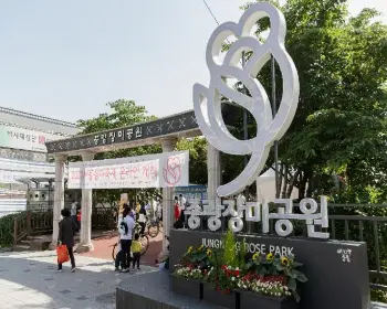 중랑 서울 장미축제_6