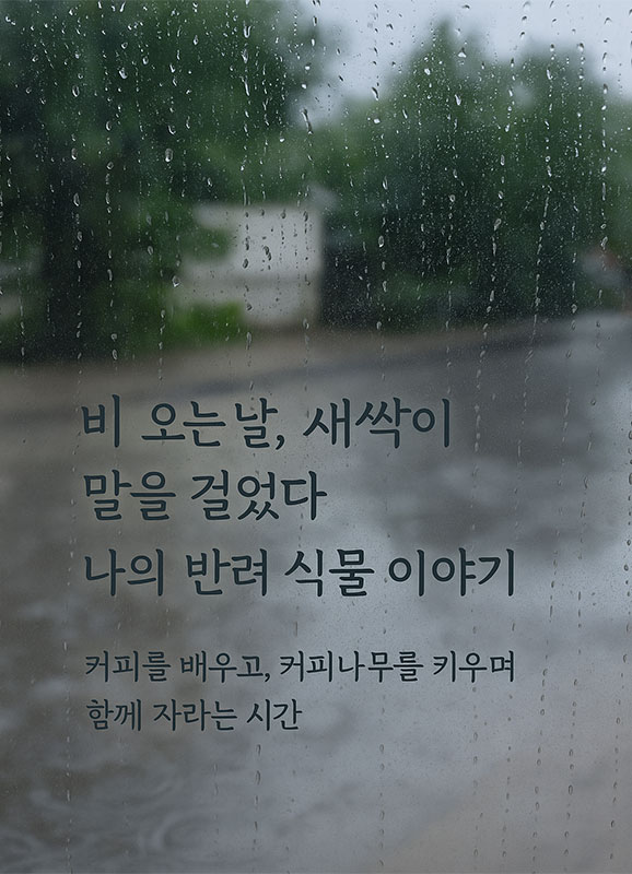 비오는날 나의 반려 식물 이야기