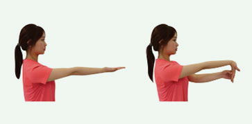 간단한 사무실 스트레칭