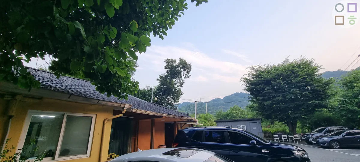 금강막구수-나무와-산의-조화-멋짐