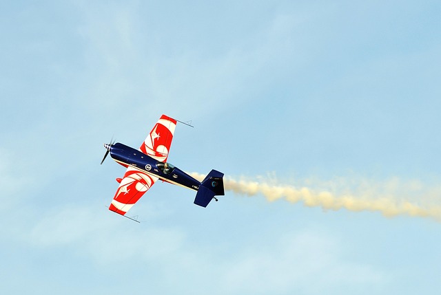 예비군훈련연기신청