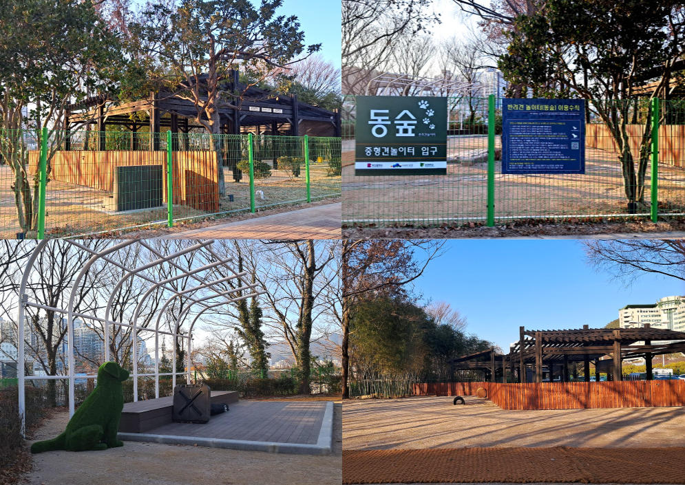 동명대 동숲 반려견 놀이터