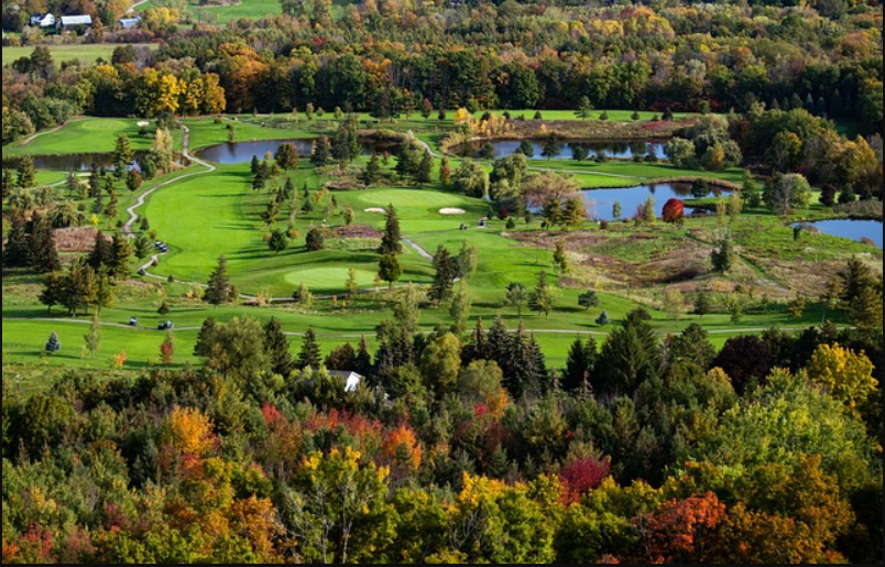 유명 골프 코스 설계사진