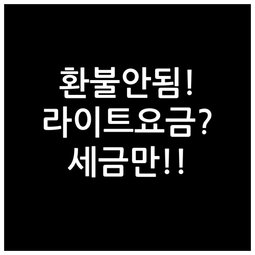 싱가포르항공 환불 불가 운임, 라이트..