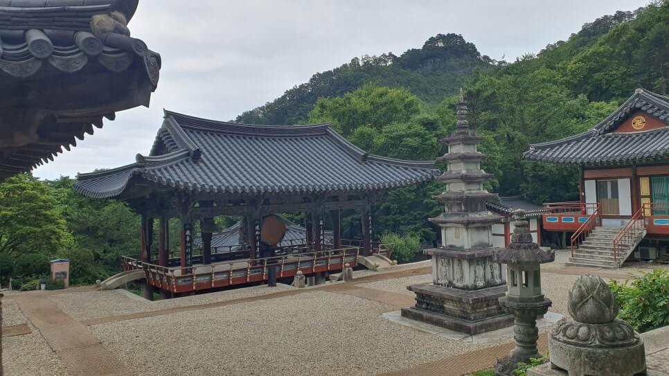 삼척 천은사 : 인도에서 두타의 세 신선이 흰 연꽃을 가지고 와서 창건