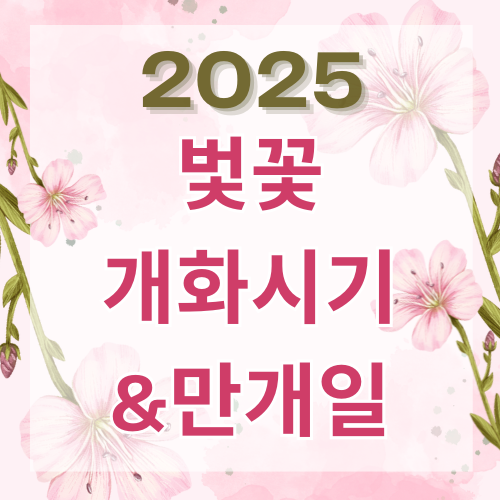 2025 벚꽃 개화시기