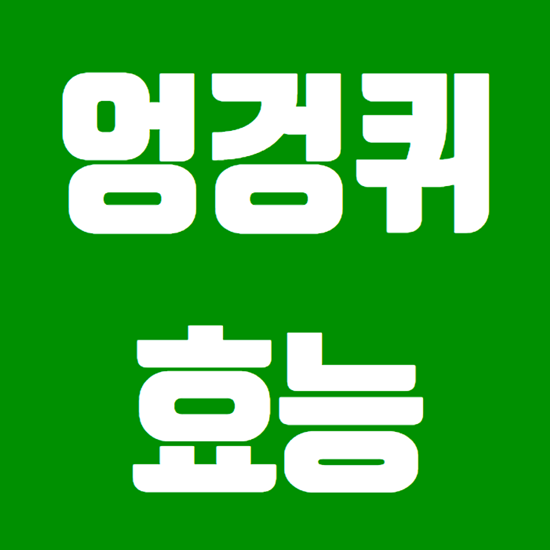 엉겅퀴 효능