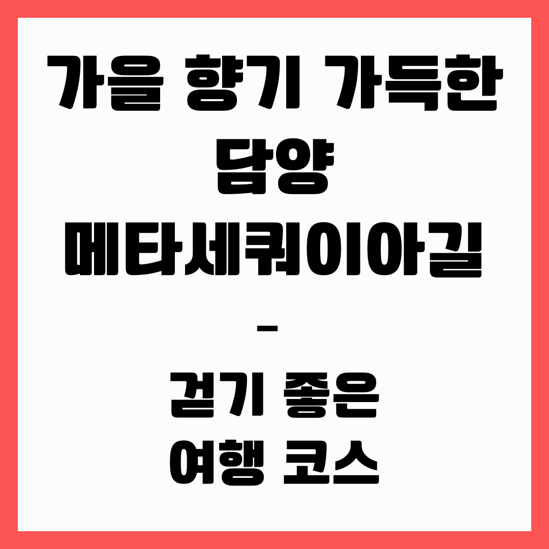 가을 향기 가득한 담양 메타세쿼이아길 &ndash; 걷기 좋은 여행 코스