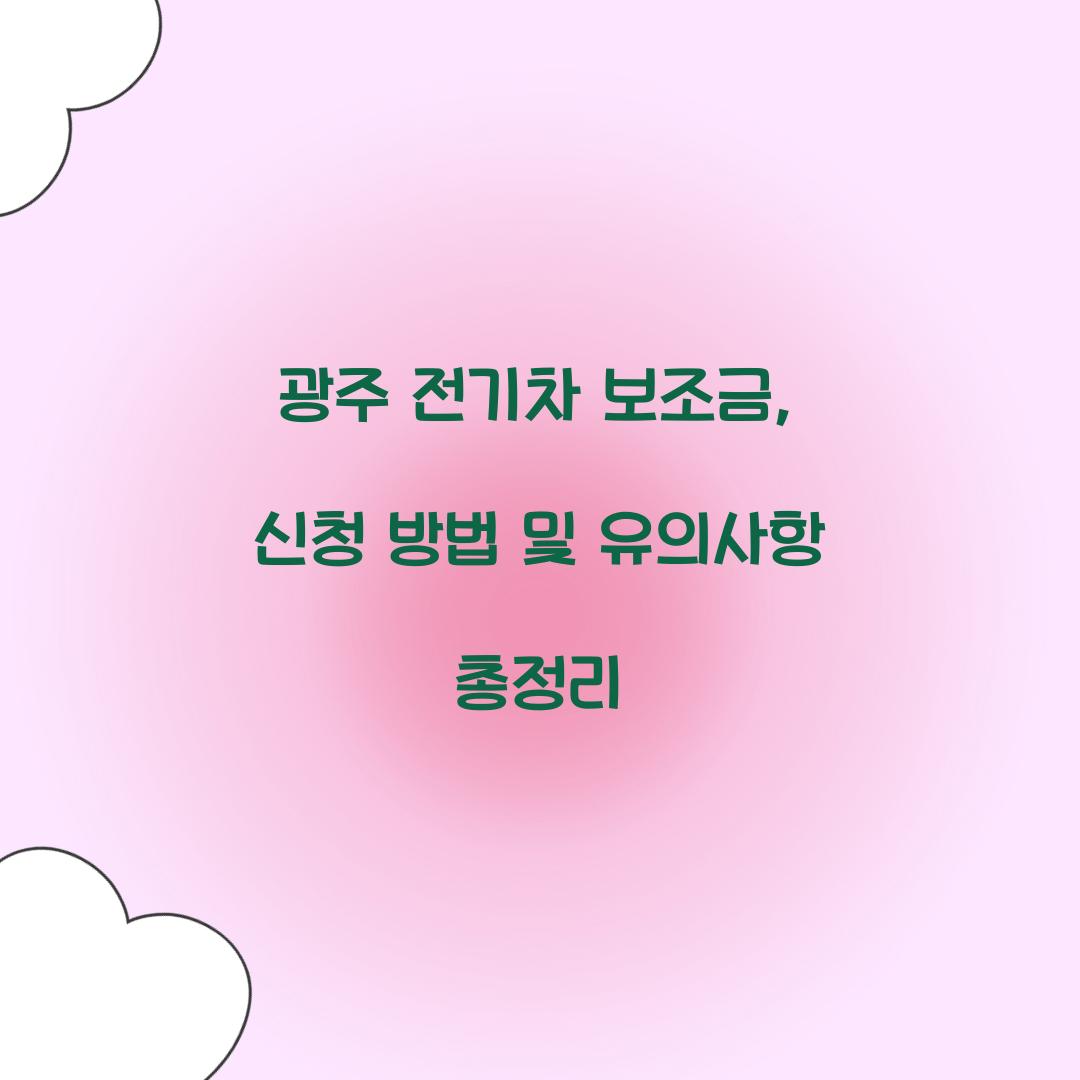 광주 전기차 보조금