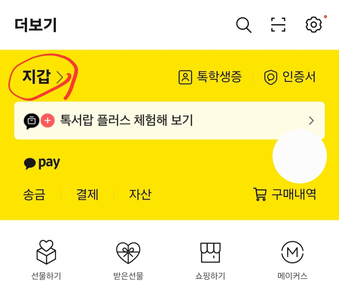 카톡전자지갑