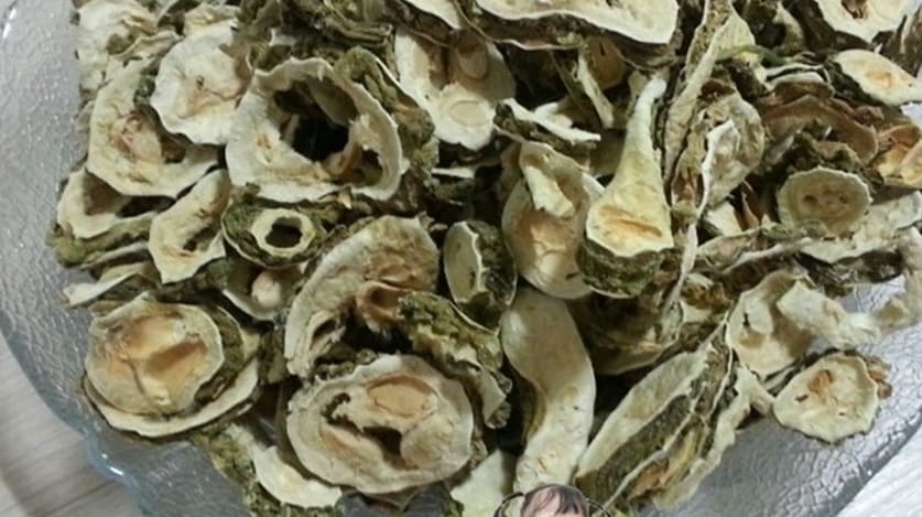 말린 여주 효능의 여주3