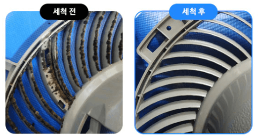 세척-전후