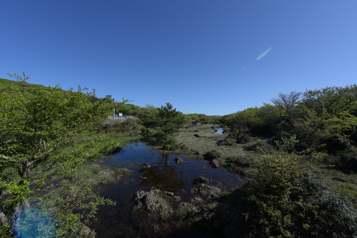 1100고지 습지 관련 사진