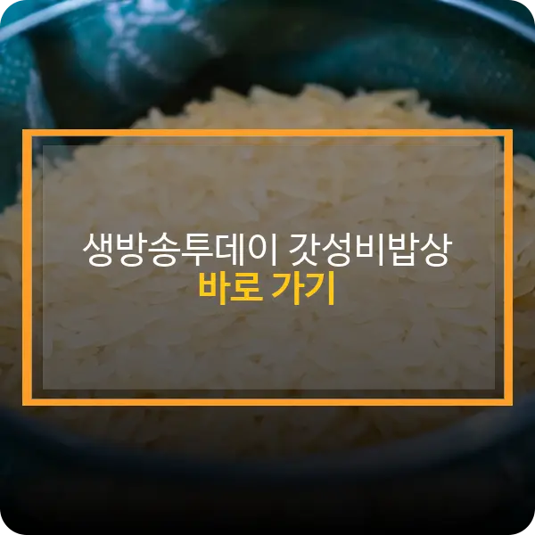 생방송투데이 갓성비밥상