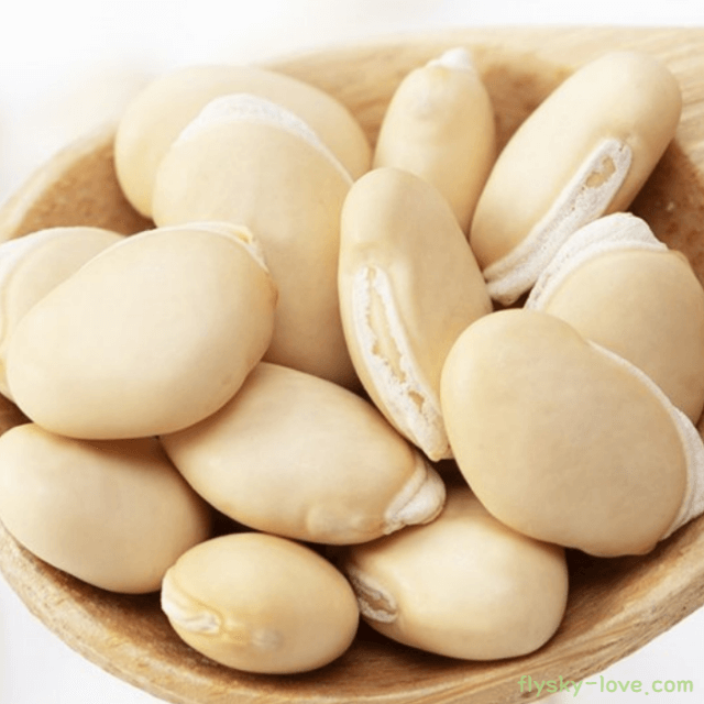 까치콩, 백편두 효능