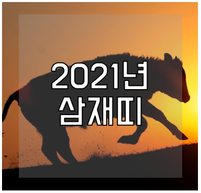 2021년 삼재띠