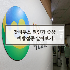 장티푸스 원인과 증상 그리고 예방접종
