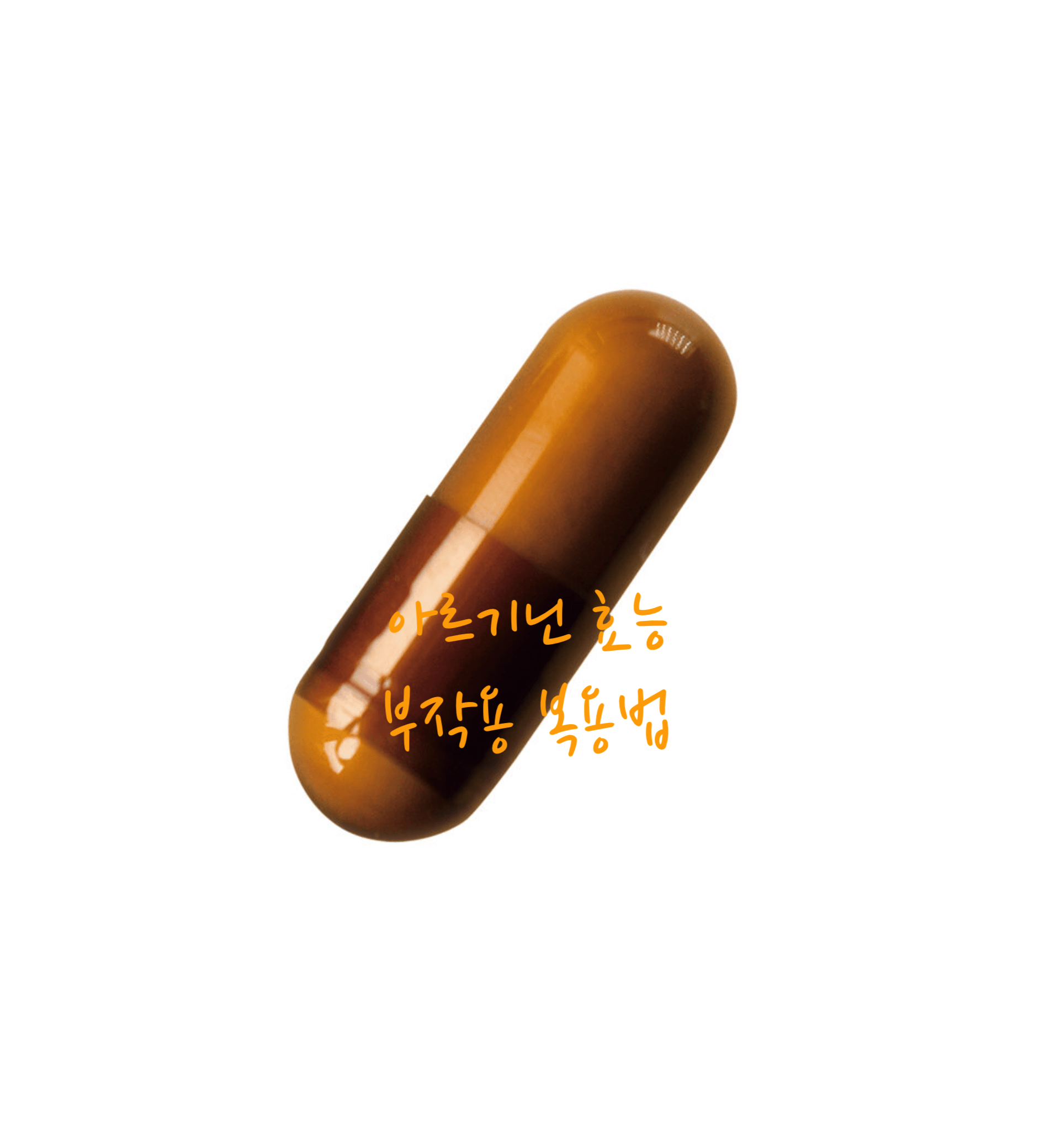 아르기닌 효능