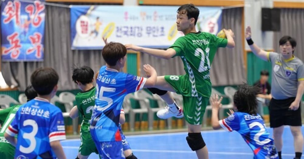 제54회-전국소년체육대회-핸드볼