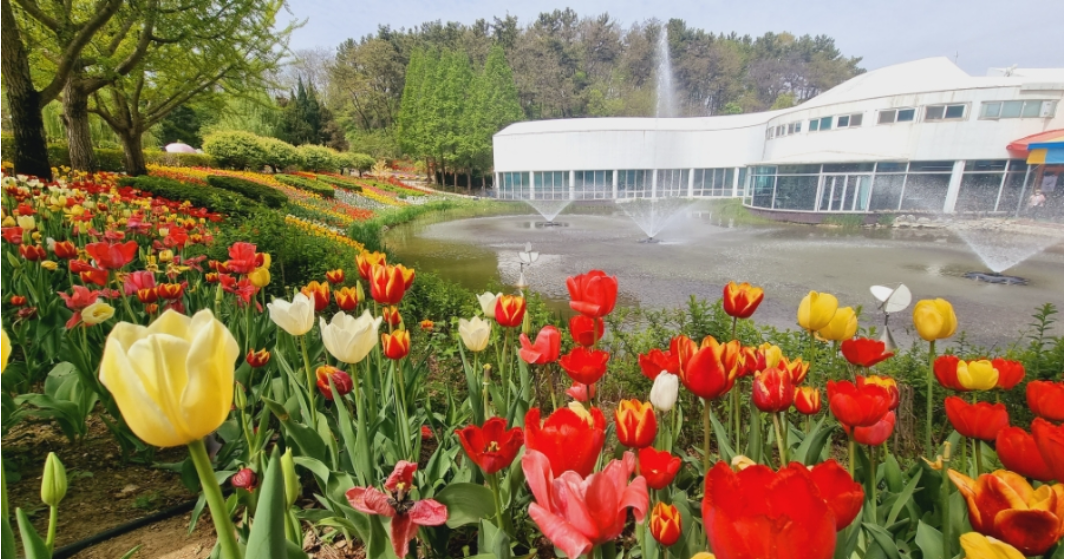 아산 피나클랜드 튤립 축제.생방송투데이.일정.가는길.주차장.2023년안내