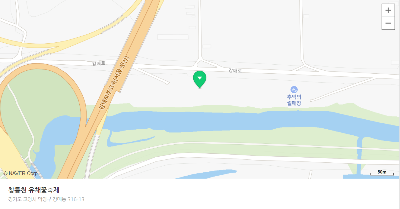 창릉천 유채 꽃 축제 주차장