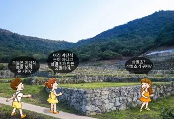 몽골 침략 삼별초 고려 저항 한국사_8