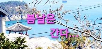 백설희 봄날은 간다 가사 노래 무료듣기_27