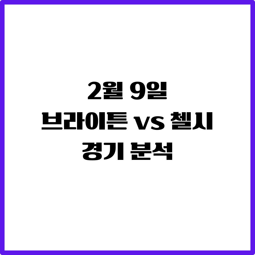 브라이튼첼시경기분석